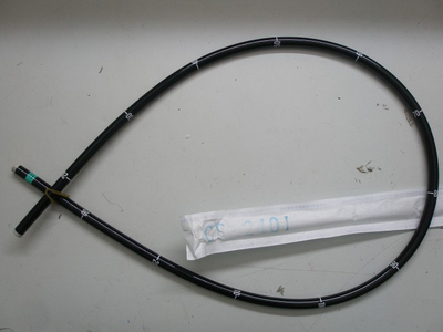 Chinese insertion tube